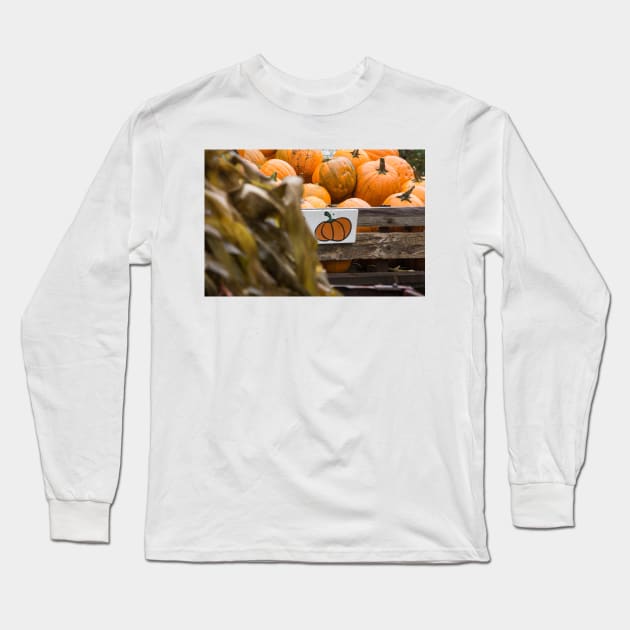 pumpkins for sale Long Sleeve T-Shirt by sma1050